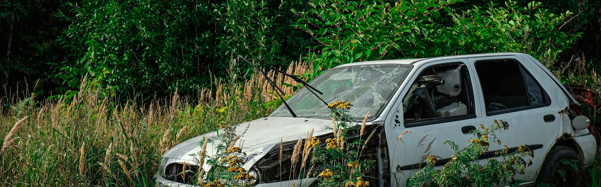 Véhicule hors d'usage immobilisé dans la végétation, en attente d'enlèvement